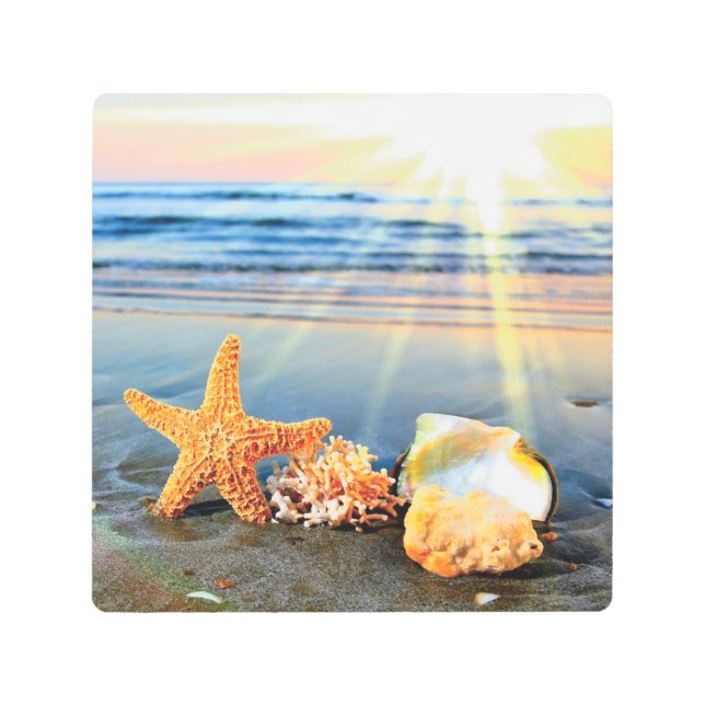 Sea shells and starfish on beach metal print (Front)
