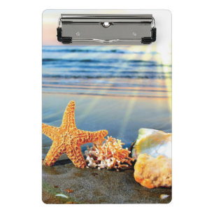 Sea shells and starfish on beach mini clipboard