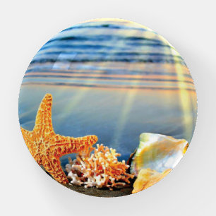 Sea shells and starfish on beach paperweight
