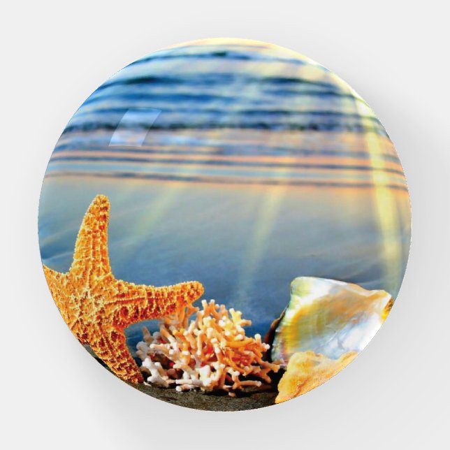 Sea shells and starfish on beach paperweight (Front)