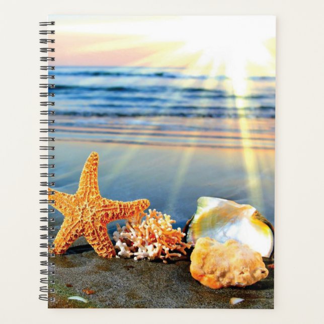 Sea shells and starfish on beach planner (Front)
