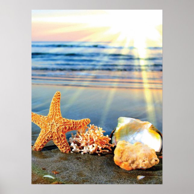 Sea shells and starfish on beach poster (Front)