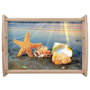 Sea shells and starfish on beach serving tray