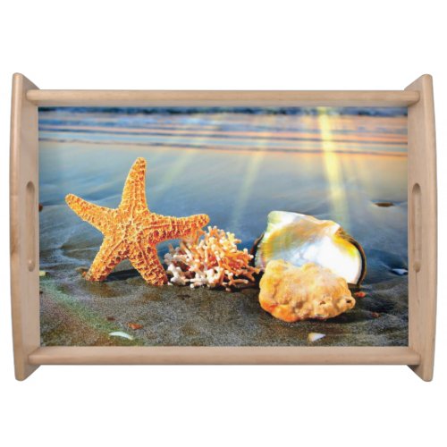 Sea shells and starfish on beach serving tray