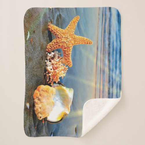 Sea shells and starfish on beach sherpa blanket