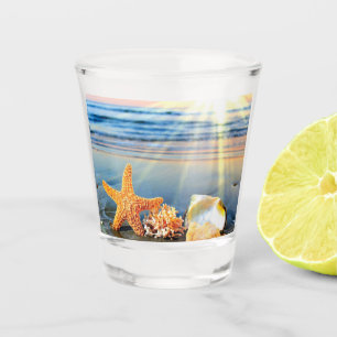 Sea shells and starfish on beach shot glass