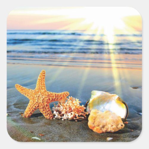 Sea shells and starfish on beach square sticker