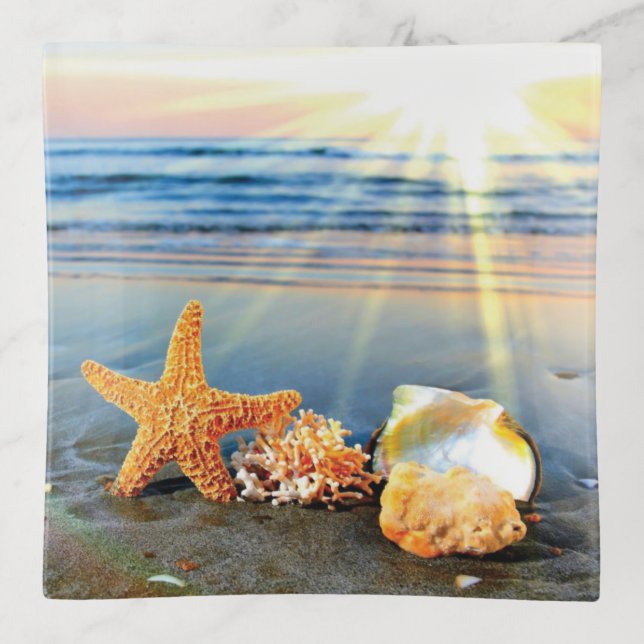 Sea shells and starfish on beach trinket tray (Front)
