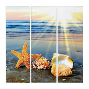 Sea shells and starfish on beach triptych