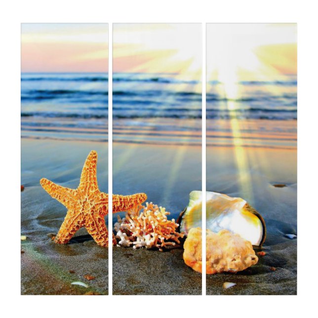 Sea shells and starfish on beach triptych (Front)