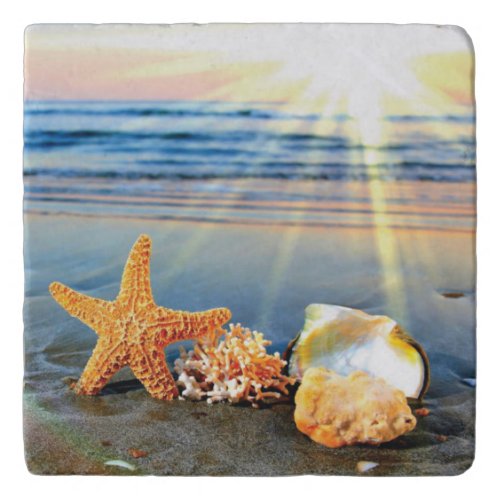 Sea shells and starfish on beach trivet