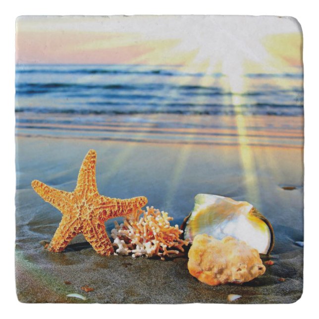 Sea shells and starfish on beach trivet (Front)