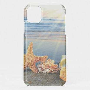Sea shells and starfish on beach iPhone 11 case