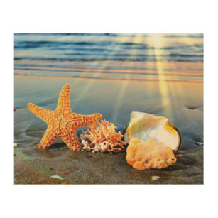 Sea shells and starfish on beach wood wall art