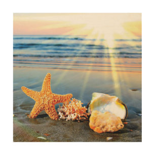 Sea shells and starfish on beach wood wall art