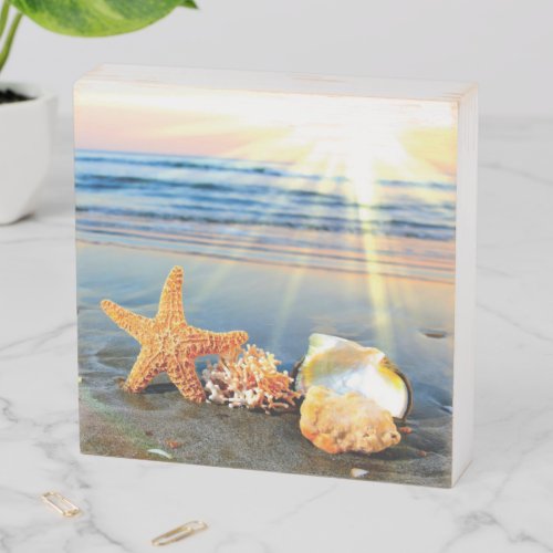 Sea shells and starfish on beach wooden box sign