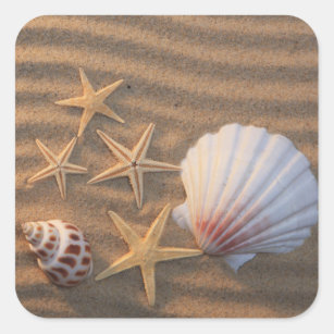 Sea Shells And Starfish Square Sticker