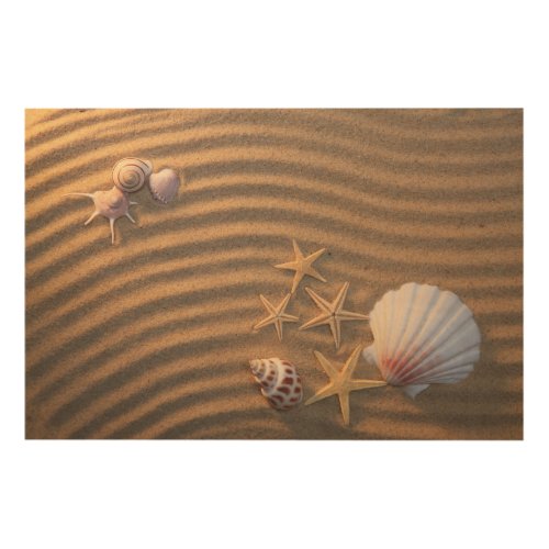 Sea Shells And Starfish Wood Wall Decor