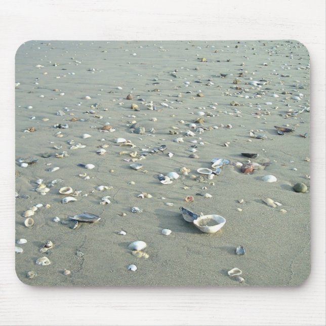 Sea Shells at Imperial Beach, California Mouse Pad (Front)