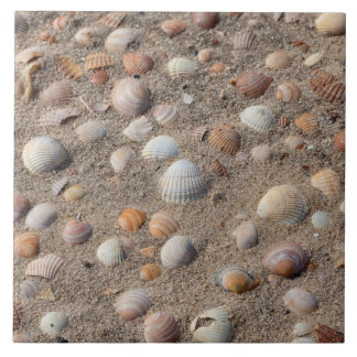 Sea shells at the beach ceramic tile