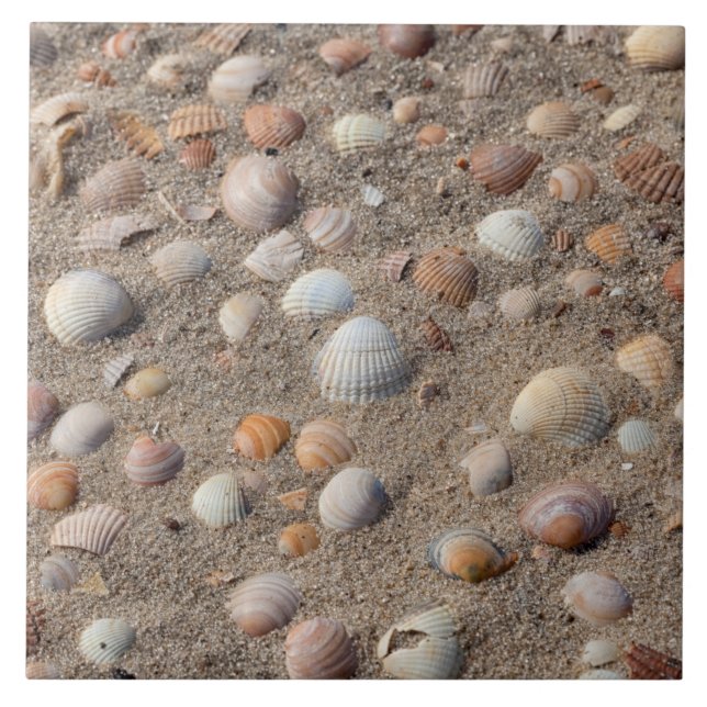 Sea  shells at the beach ceramic tile (Front)