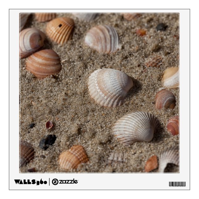 Sea  shells at the beach wall decal (Front)