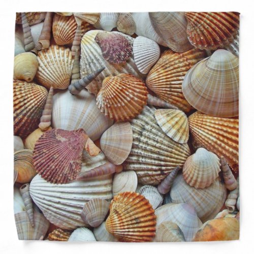 Sea Shells Bandana