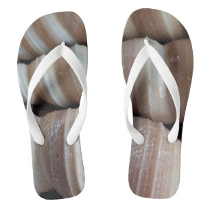 Sea Shells Beach Flip Flops Summer Exotic Tropical