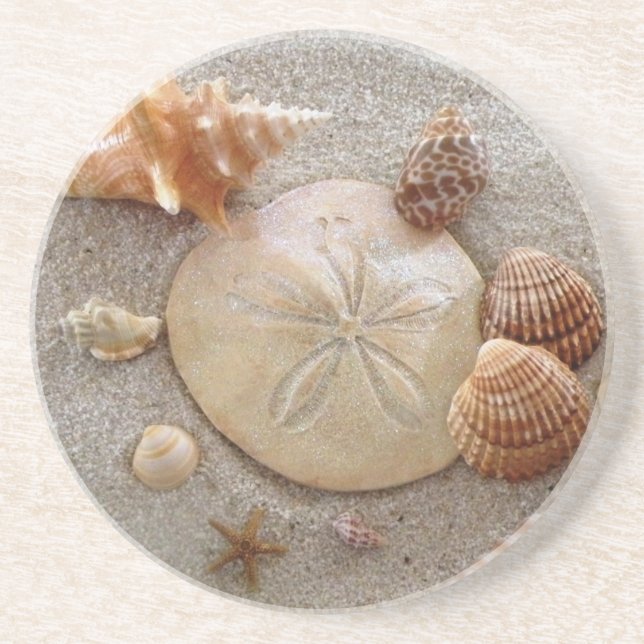 Sea Shells Beverage Coaster (Front)
