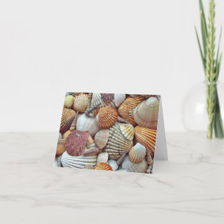 Sea Shells Blank Inside Thank You Card