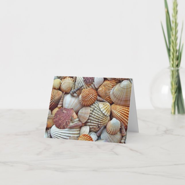 Sea Shells Blank Inside Thank You Card (Front)