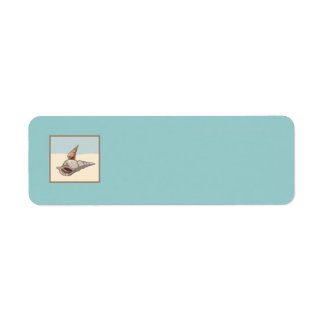 sea shells browns greys blues graphics ocean beach label