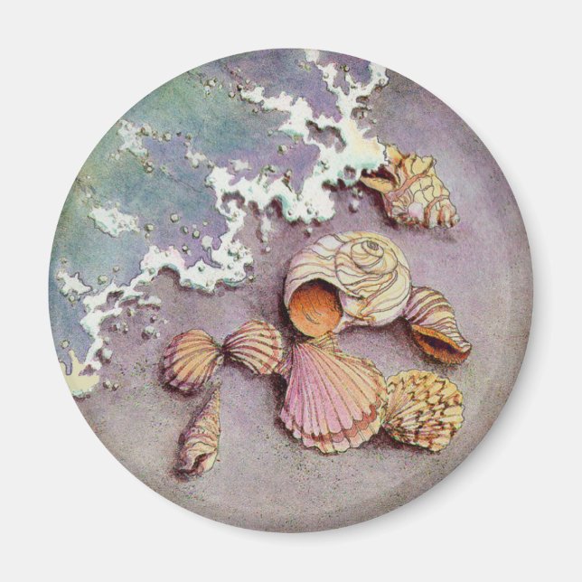 SEA SHELLS by SHARON SHARPE Magnet (Front)
