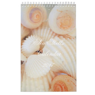 Sea Shells Calendar 2017 Exotic Tropical Romantic