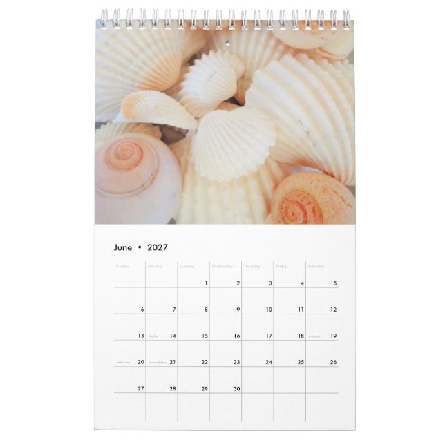 Sea Shells Calendar 2024 Exotic Tropical Romantic (Jun 2027)