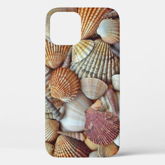 Sea Shells iPhone 12 Case