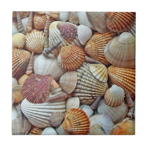 Sea Shells Ceramic Tile