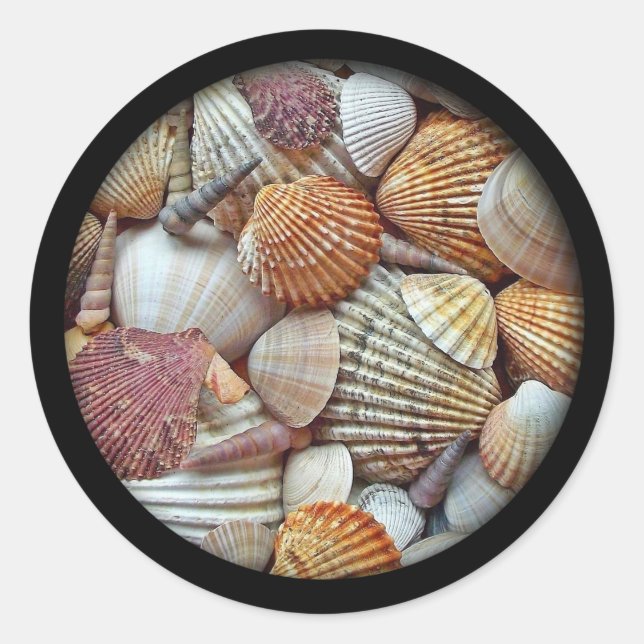Sea Shells Classic Round Sticker (Front)
