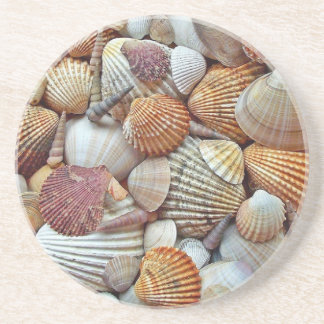 Sea Shells Coaster