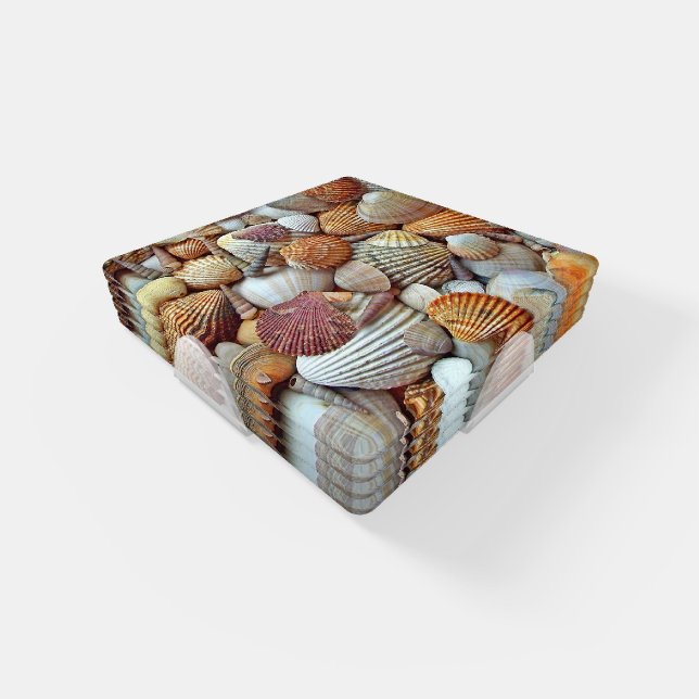 Sea Shells Coaster Set (Set)