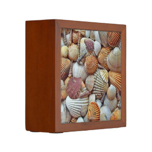 Sea Shells Desk Organizer
