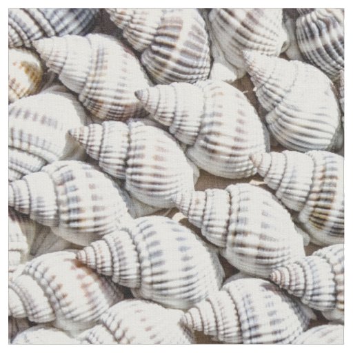 sea shells fabric