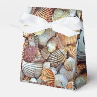 Sea Shells Favor Boxes