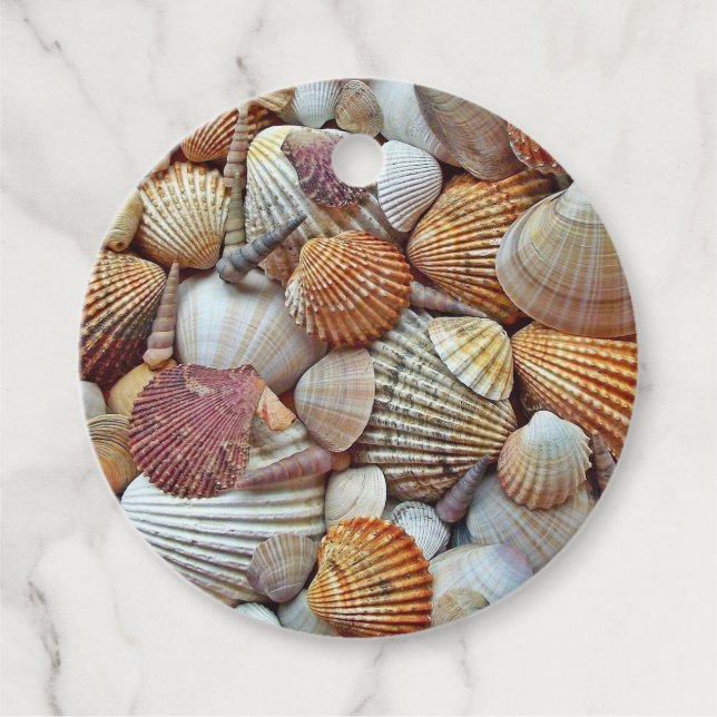 Sea Shells Favor Tags (Front)