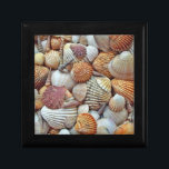 Sea Shells Gift Box<br><div class="desc">Variety of sea shells</div>