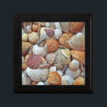 Sea Shells Gift Box<br><div class="desc">Variety of sea shells</div>