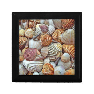 Sea Shells Gift Box