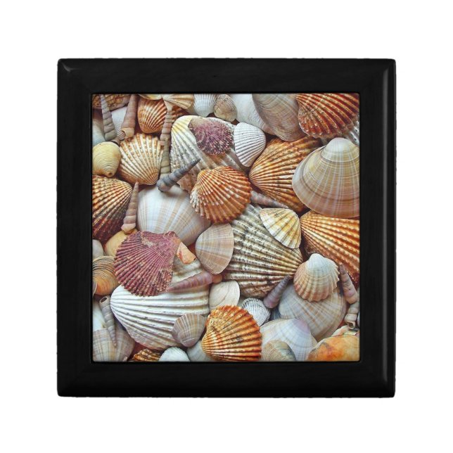 Sea Shells Gift Box (Front)