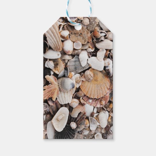 Sea shells gift tag | Zazzle.com
