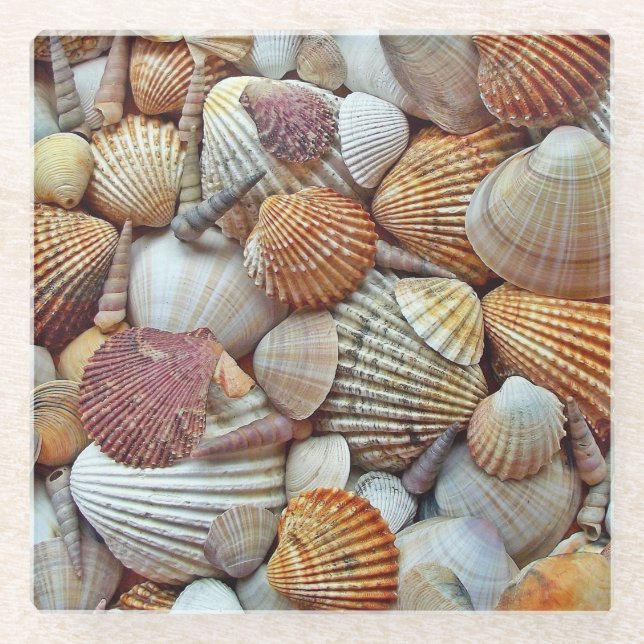 Sea Shells Glass Coaster (Front)
